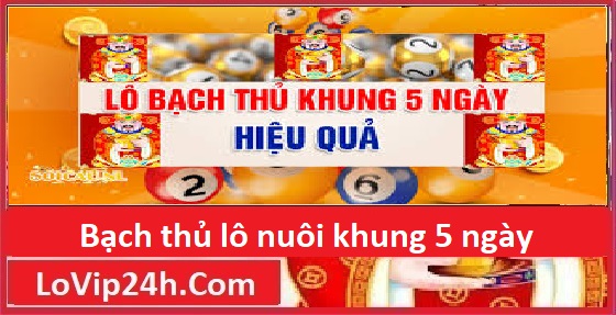 bạch thủ lô khung 5 ngày