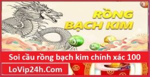 Soi cầu rồng bạch kim hay mỗi ngày - Dự đoán số chuẩn