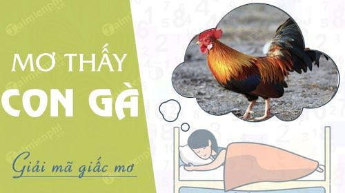Nằm mơ thấy con gà đánh con gì?